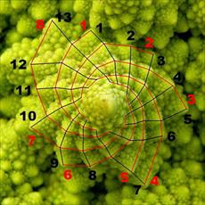 PowerPoint Fibonacci numbers