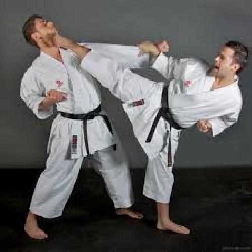 مقاله بررسی تعیین اثر سه روش بیش تمرینی بر سیستم ایمنی بدن مردان ماهر کاراته کار