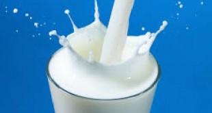 دانلود مقاله کارآفرینی محصولات لبنی شیر پاستوریزه