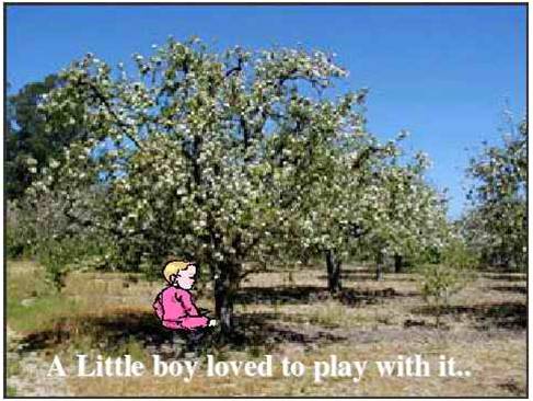 دانلود پاورپوینت پسربچه و درخت سیب