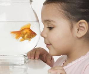 خطراتی که ماهی قرمز برای بچه ها دارد